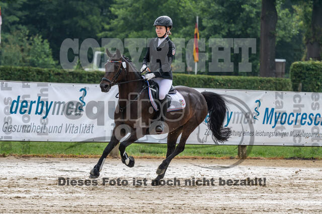 Goldene Schärpe 2021 - Ponys