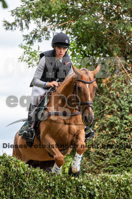 Bonn-Rodderberg Late-Entry-Vielseitigkeit (30.06.2020)