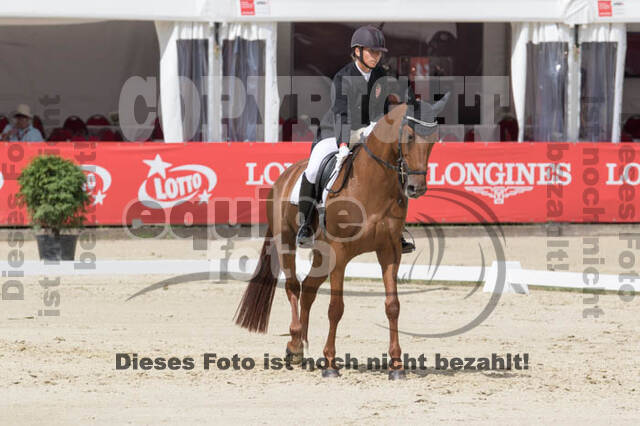 FEI European Championship Eventing 2017