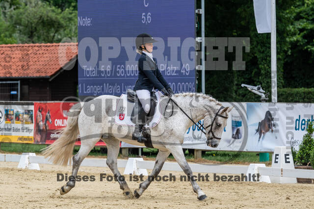 Goldene Schärpe 2021 - Ponys