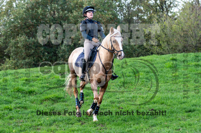 IGV Lehrgang der Sieger der Cups mit Frank Ostholt