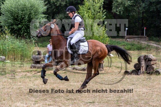 Late-Entry Vielseitigkeit Hamminkeln/Wesel (01.+02.08.2020)