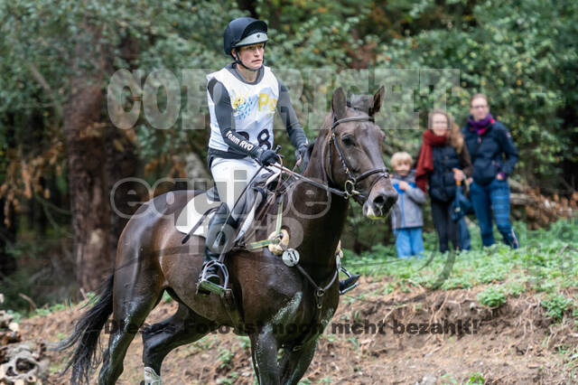 Vielseitigkeit RSV Wesel Obrighoven (26.+27.09.2020)