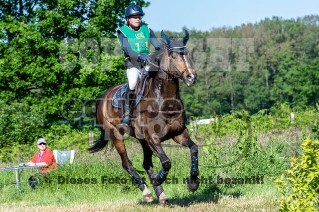 Westerstede Horse Trials (10.-13.06.2021)