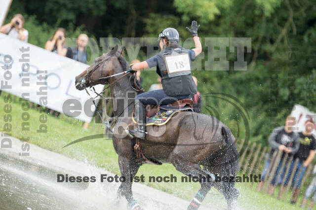 FEI European Championship