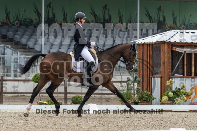 Deutsche Meisterschaft Vielseitigkeit (Luhmühlen)