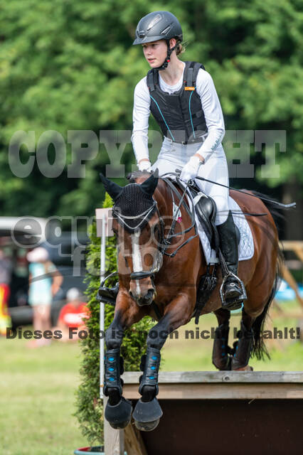 Goldene Schärpe 2021 - Ponys