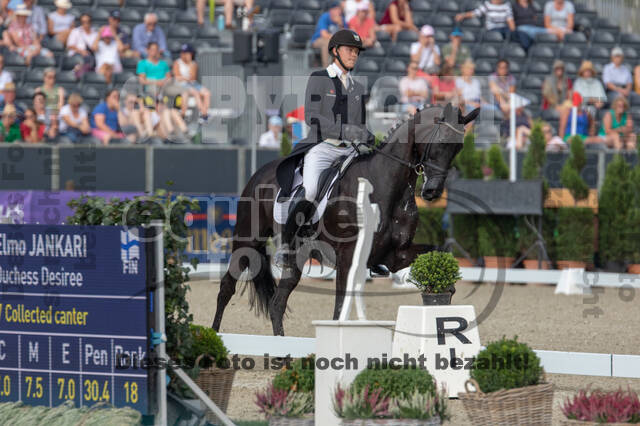 FEI European Championship Eventing 2019