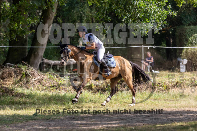 Late-Entry Vielseitigkeit Hamminkeln/Wesel (01.+02.08.2020)