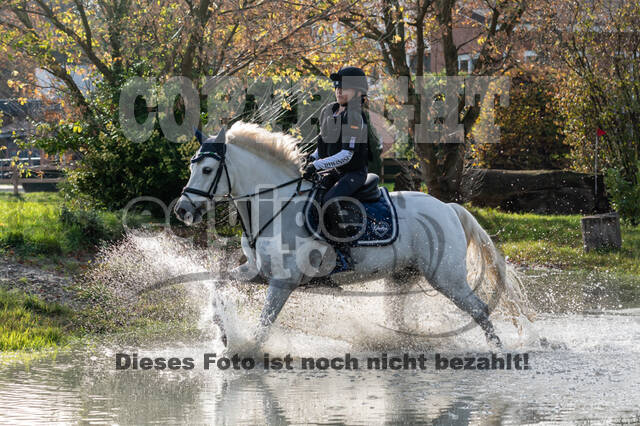 IGV Lehrgang der Sieger der Cups mit Frank Ostholt
