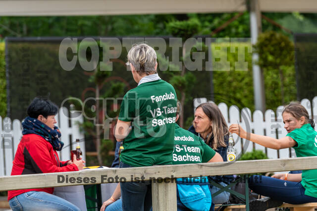 Goldene Schärpe 2021 - Ponys