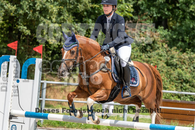 Late-Entry-Vielseitigkeit Langenfeld (06.+07.07.2020)