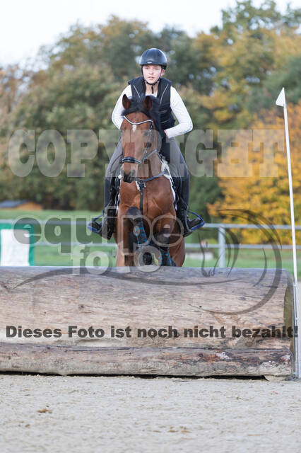 IGV Lehrgang der Sieger der Cups mit Frank Ostholt