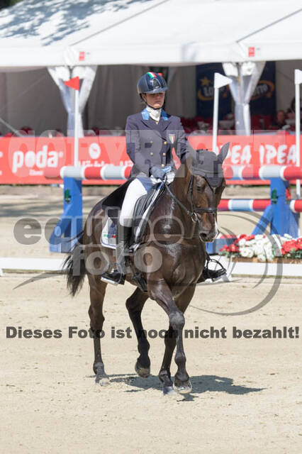 FEI European Championship