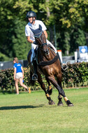 Kronenberg - De Peelbergen (August 2020)