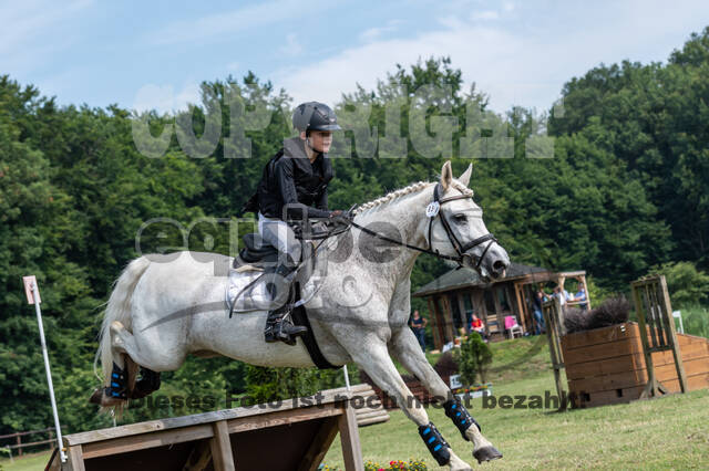 Goldene Schärpe 2021 - Ponys