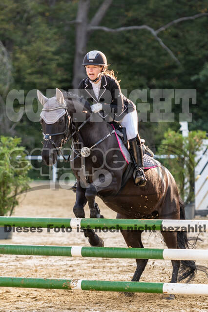 RFV Dinslaken-Hiesfeld (Herbstturnier)