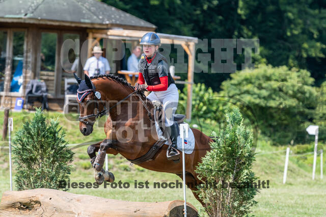 Goldene Schärpe 2021 - Ponys