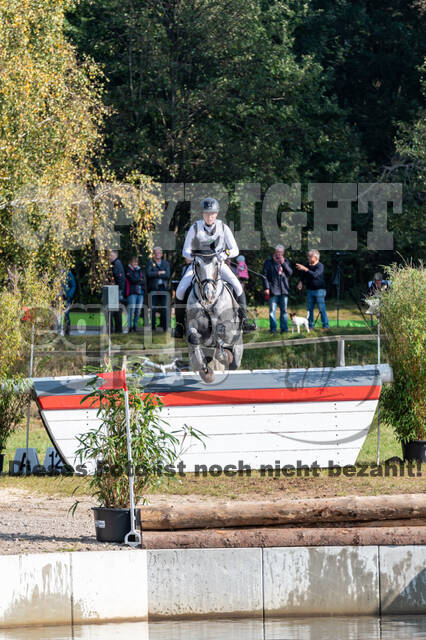 Deutsche Meisterschaft Vielseitigkeit (Luhmühlen)