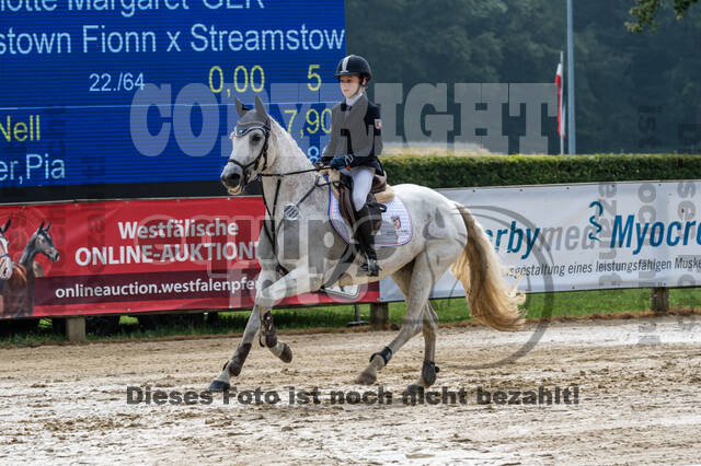 Goldene Schärpe 2021 - Ponys