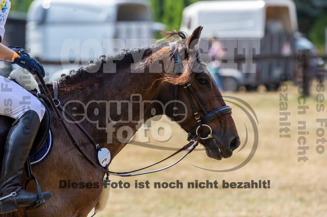 Late-Entry Vielseitigkeit Hamminkeln/Wesel (01.+02.08.2020)