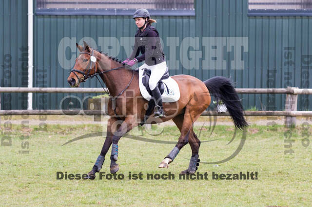 Jungpferdetag Hamminkeln