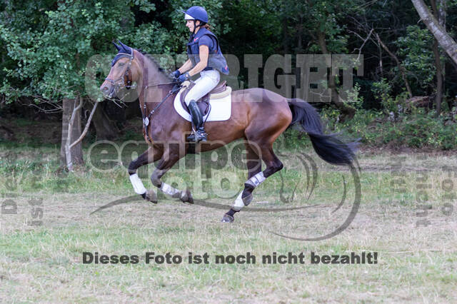 Late-Entry Vielseitigkeit Hamminkeln/Wesel (01.+02.08.2020)