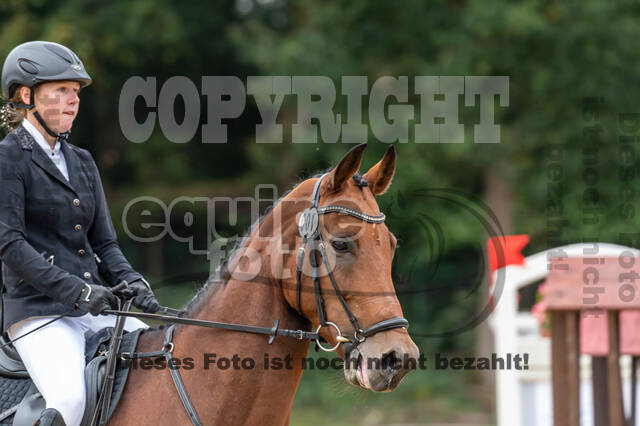 Vielseitigkeit RSV Wesel Obrighoven (26.+27.09.2020)