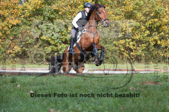 IGV Lehrgang der Sieger der Cups mit Frank Ostholt