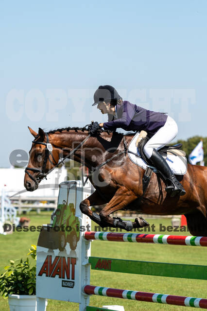 Kronenberg - De Peelbergen (August 2020)