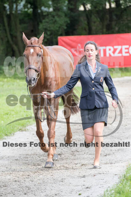 FEI European Championship Eventing 2017