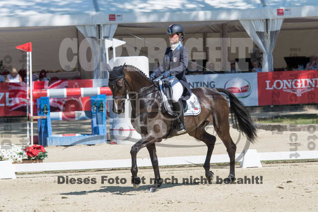 FEI European Championship
