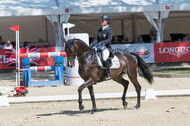 FEI European Championship