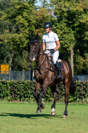 Kronenberg - De Peelbergen (August 2020)