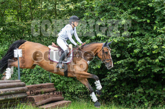 Late-Entry-Vielseitigkeit Gahlen (18.07.2020)