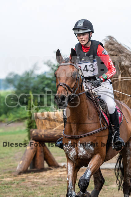 De Peelbergen (August 2020)