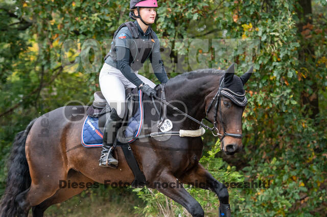 Goldene Schärpe 2020 - Pferde