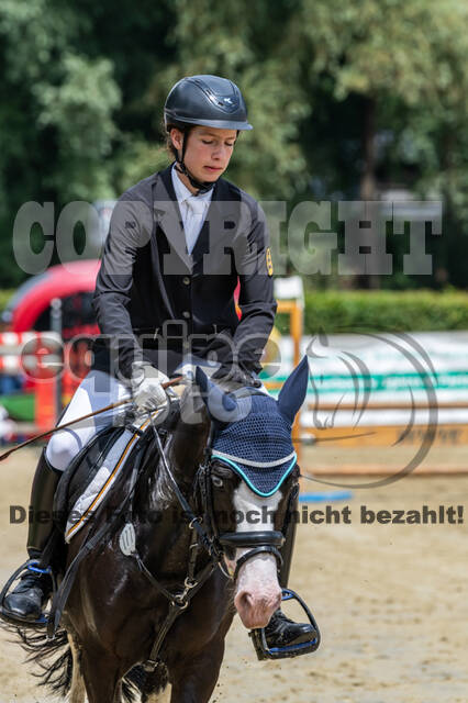 Goldene Schärpe 2021 - Ponys