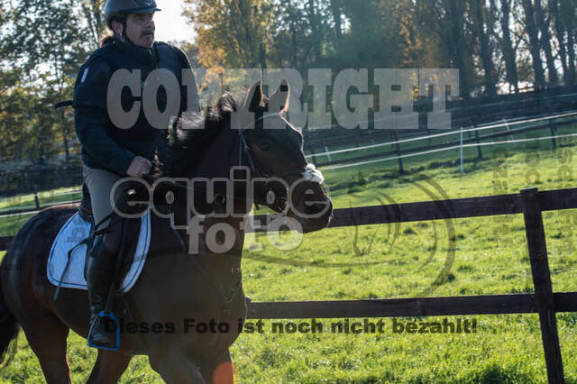 Vielseitigkeitslehrgang mit Jürg Kurbel (9.+10.11.2019)