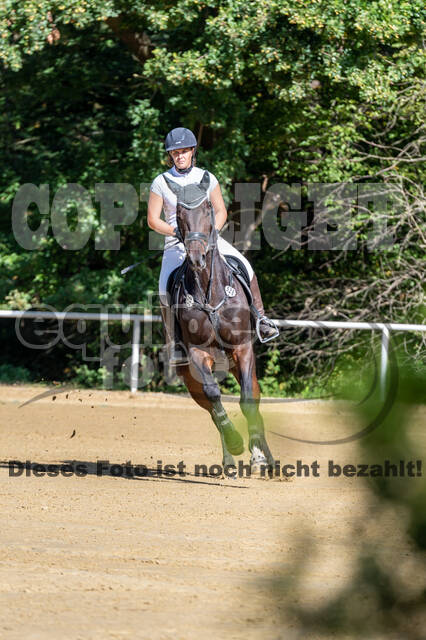 RFV Dinslaken-Hiesfeld (Herbstturnier)