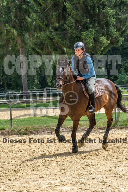 Hunter Geländetraining 10.07.2021 (Sonsbeck)