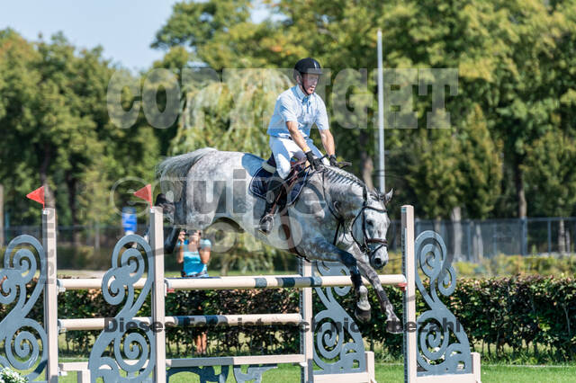 Kronenberg - De Peelbergen (August 2020)