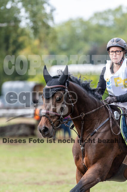 Vielseitigkeit RSV Wesel Obrighoven (26.+27.09.2020)