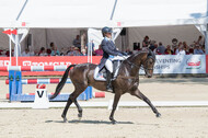 FEI European Championship