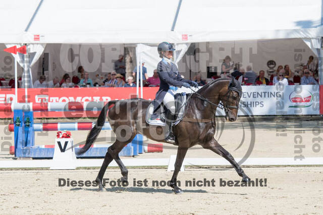 FEI European Championship