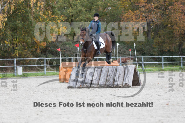 IGV Lehrgang der Sieger der Cups mit Frank Ostholt