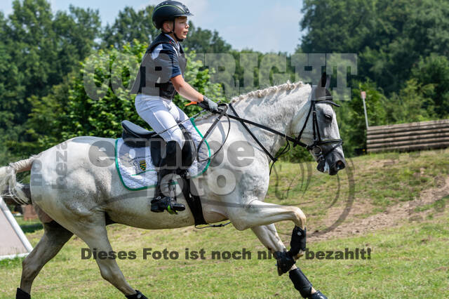 Goldene Schärpe 2021 - Ponys