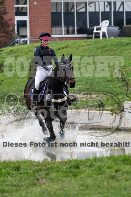 Goldene Schärpe 2020 - Pferde