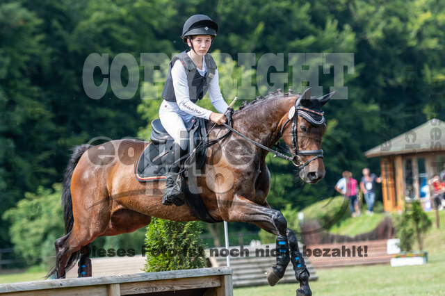 Goldene Schärpe 2021 - Ponys