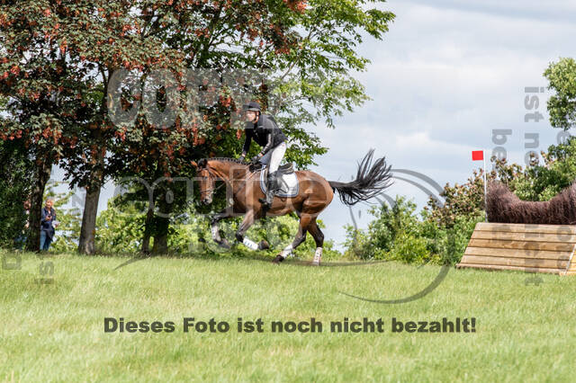 Bonn-Rodderberg Late-Entry-Vielseitigkeit (30.06.2020)